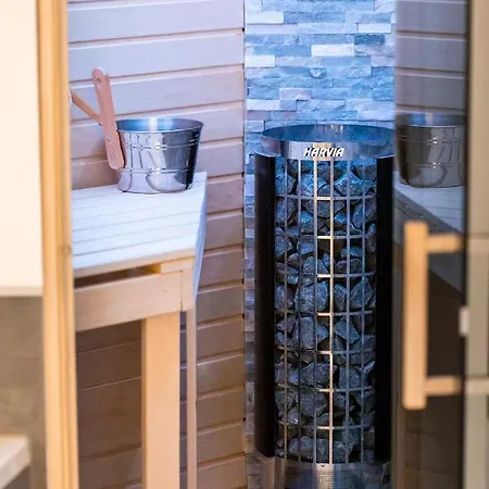 Loft Mit Whirlpool Sauna Kino Naehe Wolfsburg * Helmstedt