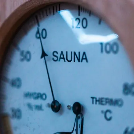 Loft Mit Whirlpool Sauna Kino Naehe Wolfsburg Helmstedt