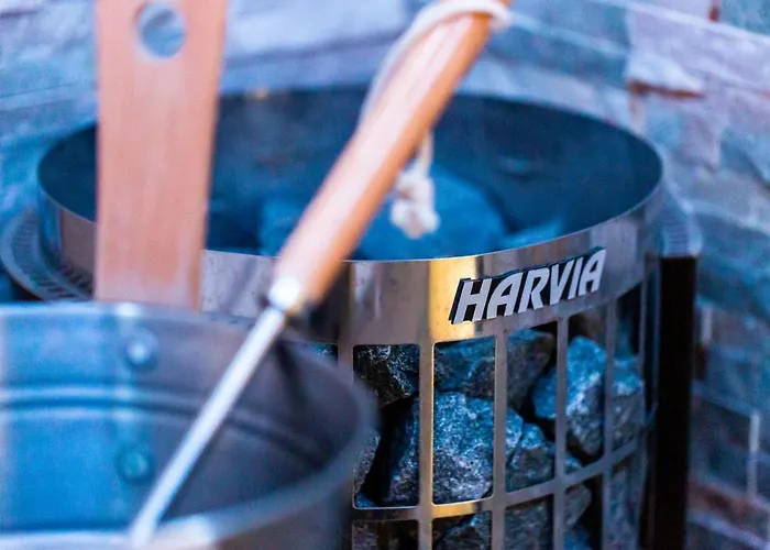 Loft Mit Whirlpool Sauna Kino Naehe Wolfsburg Appartement Helmstedt