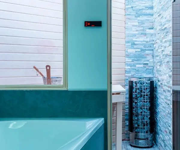 Loft Mit Whirlpool Sauna Kino Naehe Wolfsburg Appartement