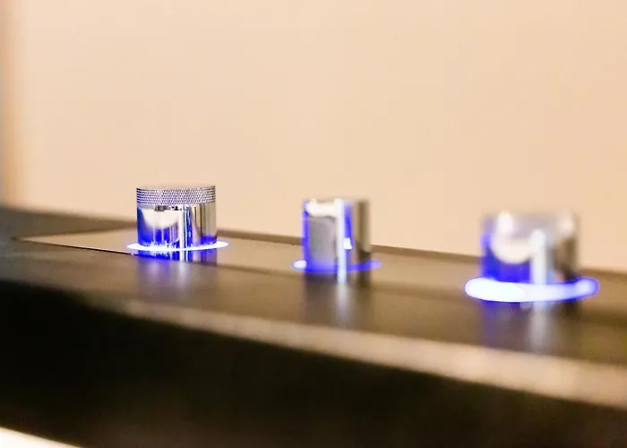 Appartement Loft Mit Whirlpool Sauna Kino Naehe Wolfsburg Helmstedt