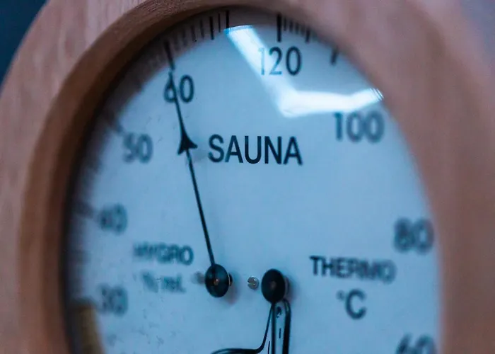 Loft Mit Whirlpool Sauna Kino Naehe Wolfsburg Helmstedt